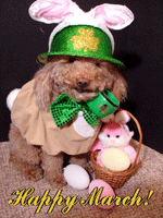 St Patrick's Day Picture