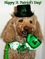 Oskar Logan St Patrick's Day picture