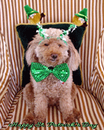 Oskar Logan St Patrick's Day picture