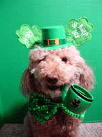 St Patrick's Day Picture