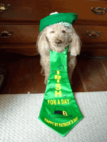 Oskar Logan St Patrick's Day picture