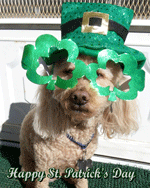 Oskar Logan St Patrick's Day and Easter picture