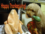 Oskar basting a stuffed turkey