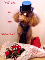 Oskar Logan Valentine's Day picture