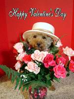 Oskar Logan Valentine's Day picture