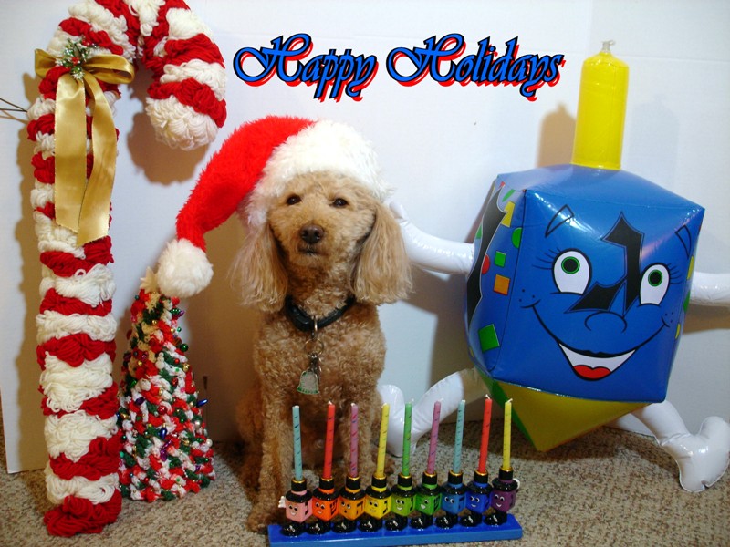 Happy Holidays 2009