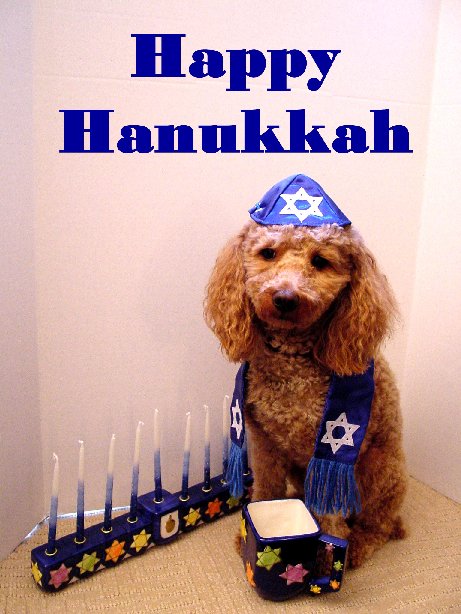 Hanukkah Oskar