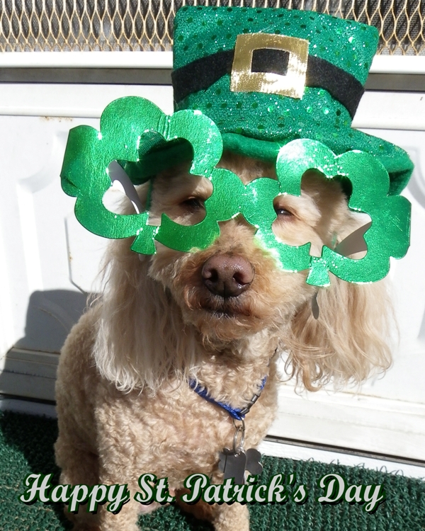 Happy St. Patrick's Day 2011