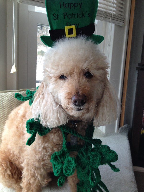 Happy St. Patrick's Day 2014